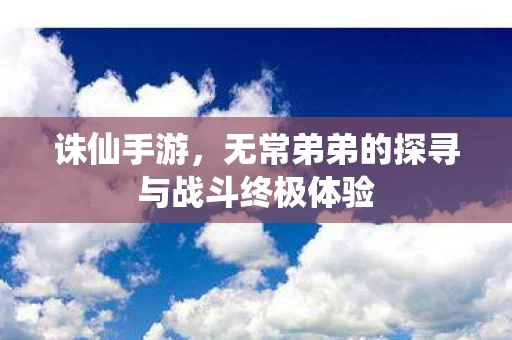 无常弟弟的探寻与战斗终极体验图片