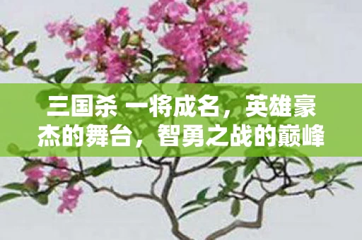 三国杀 一将成名图片