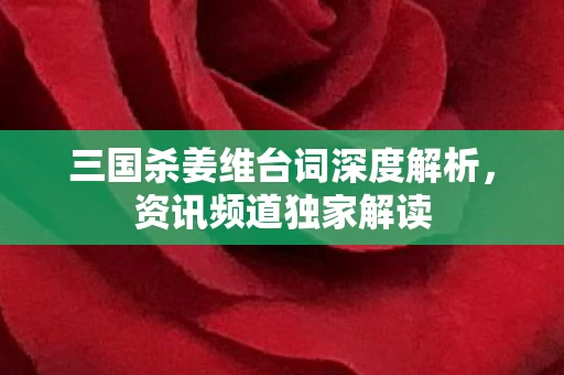 三国杀姜维台词深度解析图片