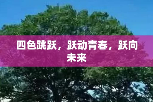 四色跳跃图片