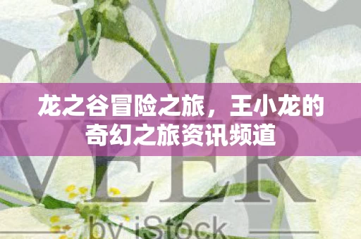 王小龙的奇幻之旅资讯频道图片