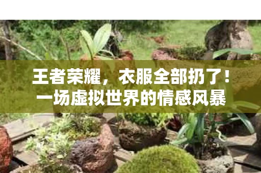 一场虚拟世界的情感风暴图片