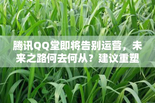 建议重塑腾讯经典游戏系列图片