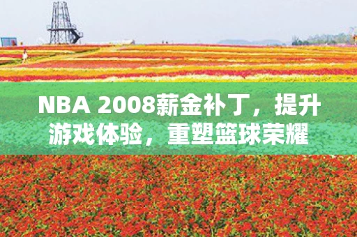 NBA 2008薪金补丁图片