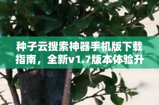 种子云搜索神器手机版下载指南图片