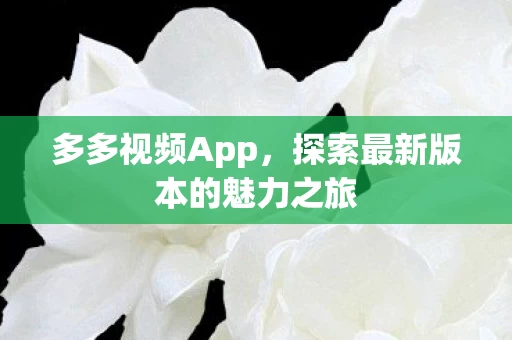 探索最新版本的魅力之旅图片