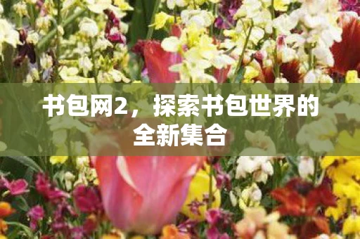 探索书包世界的全新集合图片