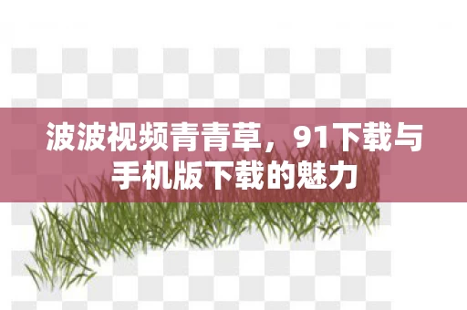 91下载与手机版下载的魅力图片