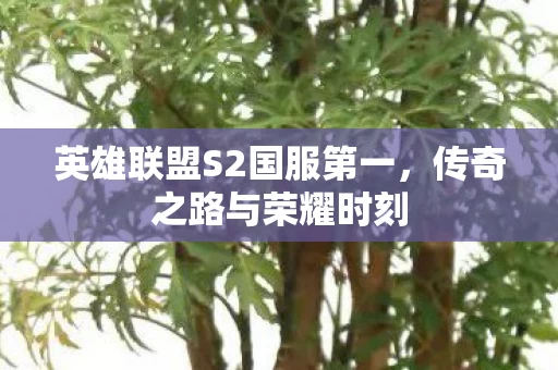 英雄联盟S2国服第一图片