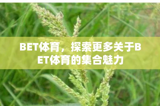 探索更多关于BET体育的集合魅力图片