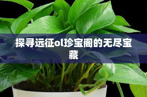 探寻远征ol珍宝阁的无尽宝藏图片