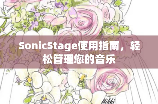 SonicStage使用指南图片