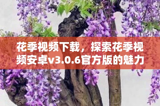 探索花季视频安卓v3图片