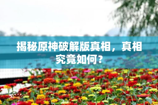 揭秘原神破解版真相图片