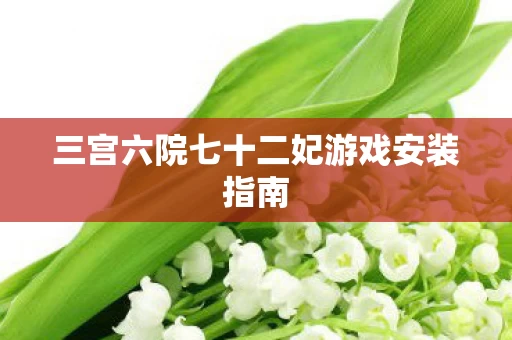 三宫六院七十二妃游戏安装指南图片