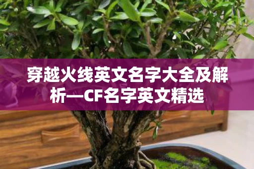 穿越火线英文名字大全及解析图片
