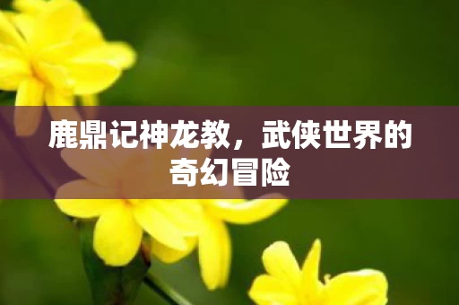 武侠世界的奇幻冒险图片