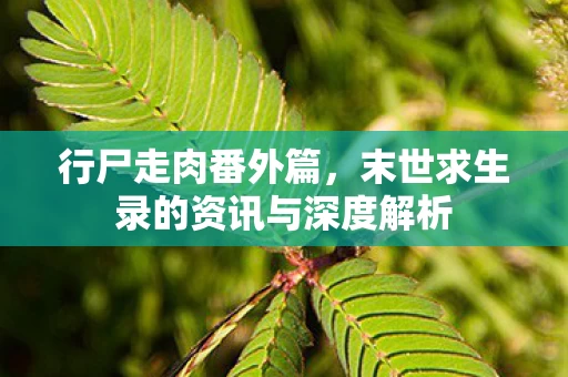 末世求生录的资讯与深度解析图片