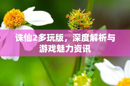 深度解析与游戏魅力资讯图片