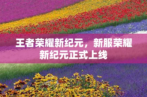新服荣耀新纪元正式上线图片