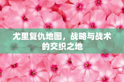 战略与战术的交织之地图片
