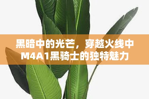 穿越火线中M4A1黑骑士的独特魅力图片