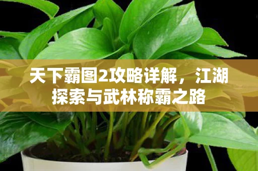 江湖探索与武林称霸之路图片