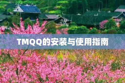 TMQQ的安装与使用指南图片