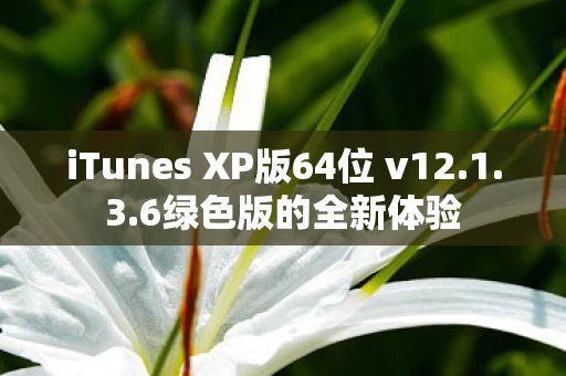 iTunes XP版64位 v12图片