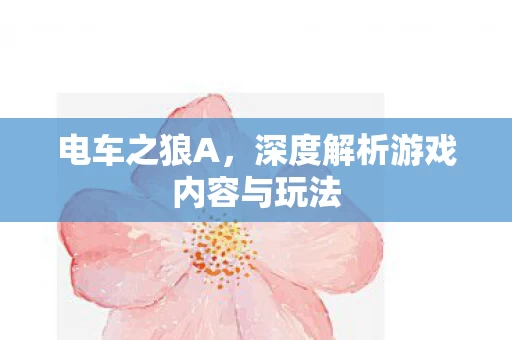 深度解析游戏内容与玩法图片