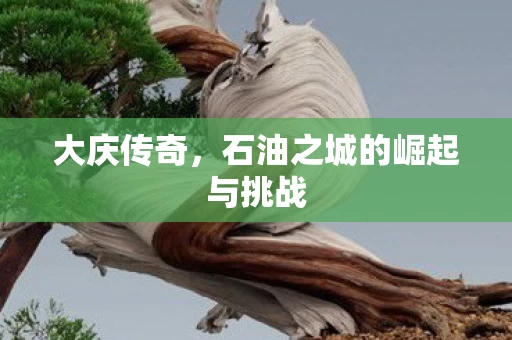 石油之城的崛起与挑战图片