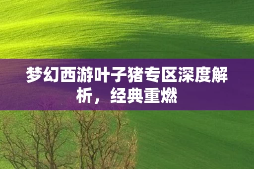 梦幻西游叶子猪专区深度解析图片