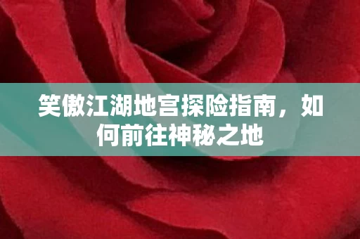 笑傲江湖地宫探险指南图片