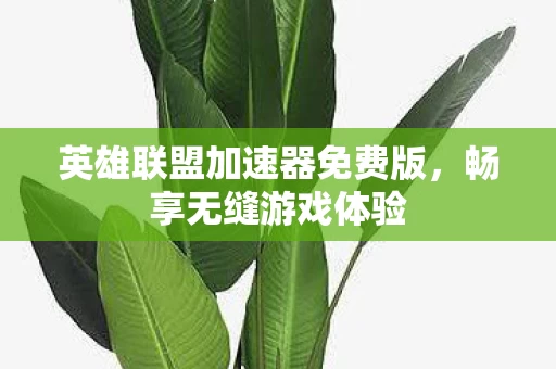 英雄联盟加速器免费版图片