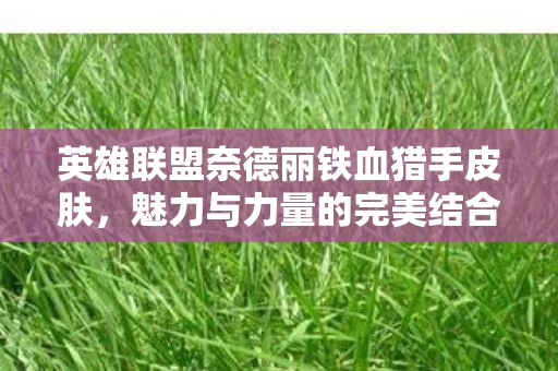 英雄联盟奈德丽铁血猎手皮肤图片