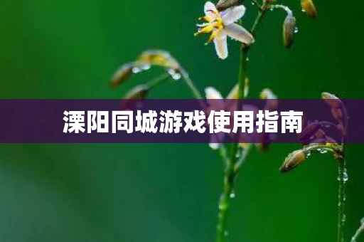 溧阳同城游戏使用指南图片