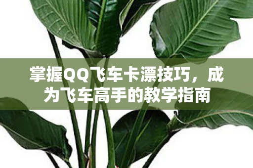 成为飞车高手的教学指南图片