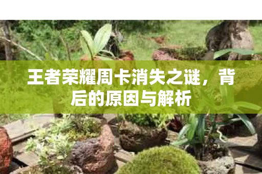 王者荣耀周卡消失之谜图片
