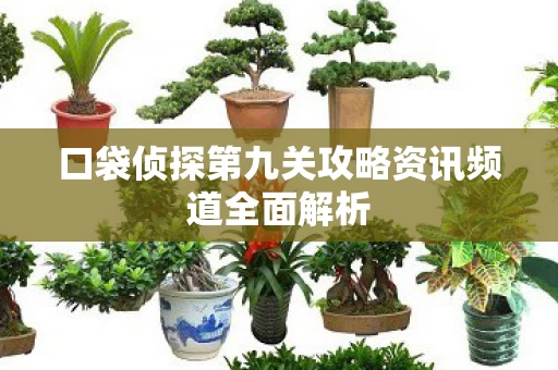 口袋侦探第九关攻略资讯频道全面解析图片
