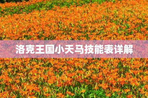 洛克王国小天马技能表详解图片