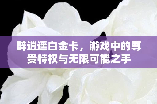 游戏中的尊贵特权与无限可能之手图片