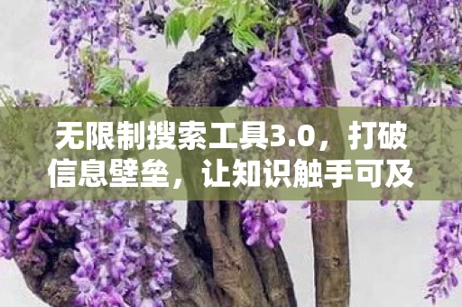 无限制搜索工具3图片