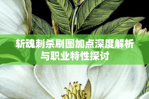 斩魂刺杀刷图加点深度解析与职业特性探讨图片