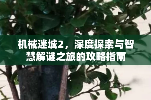 深度探索与智慧解谜之旅的攻略指南图片