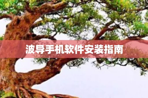 波导手机软件安装指南图片