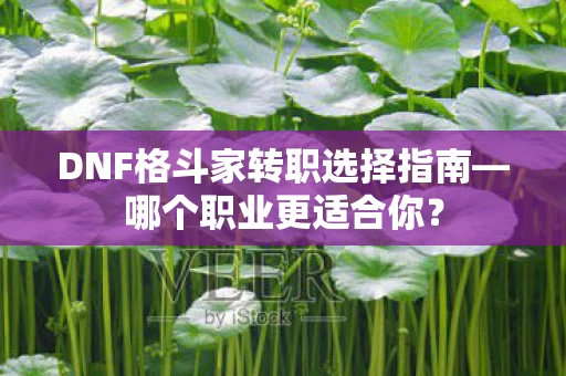 DNF格斗家转职选择指南图片