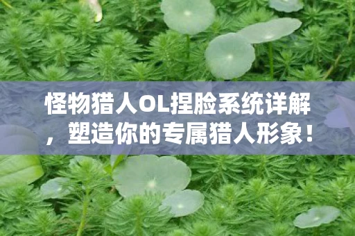 怪物猎人OL捏脸系统详解图片