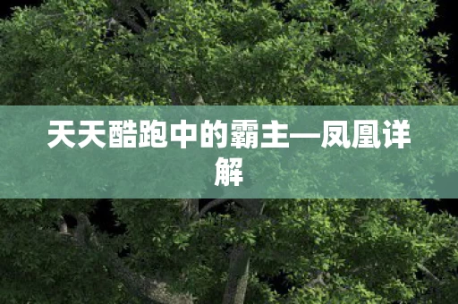 天天酷跑中的霸主图片