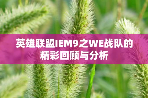 英雄联盟IEM9之WE战队的精彩回顾与分析图片