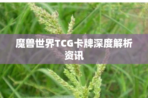 魔兽世界TCG卡牌深度解析资讯图片